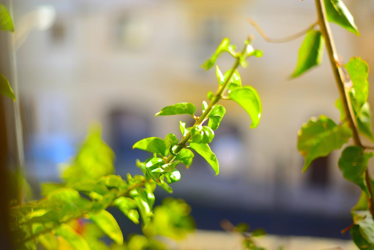 The Burrow Guest House Tarxien Exterior photo